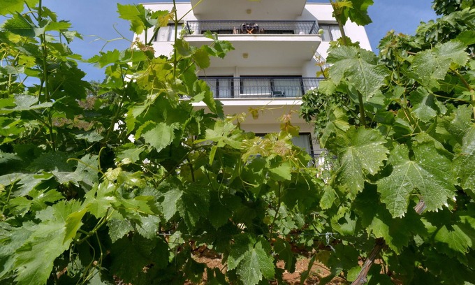 Karaburun Apartment | Your home on vacation.