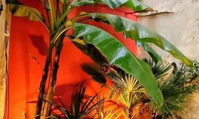 North district Apartment | Your Stopover - Jungle Sauna & Spa