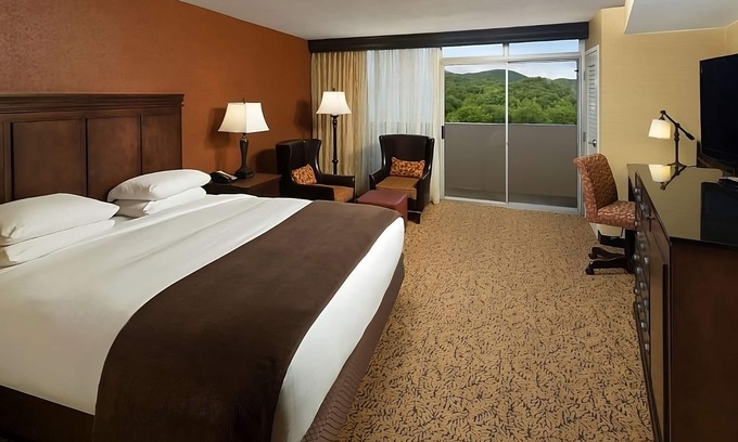 Gatlinburg Hotel | Your Stylish Gatlinburg Getaway! Swimming Pool, Pets Allowed!