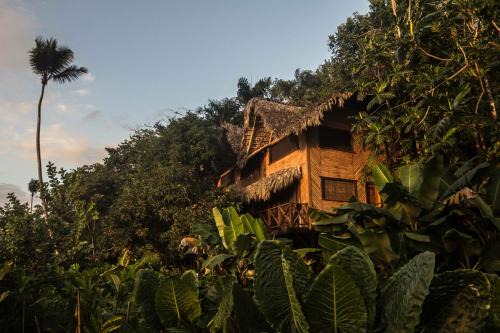 Samana Hotel | ZÂRIA Hotel & Retreat Center