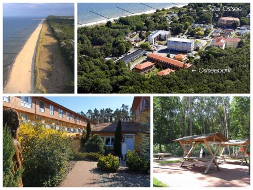 Zempin Apartment | Zempin Ostseepark WE 08 Insel Use