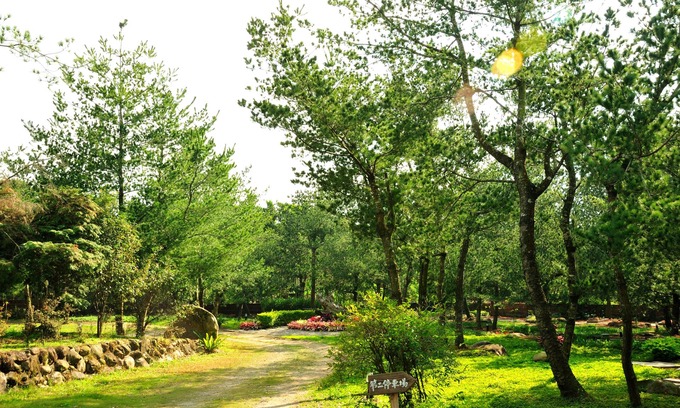 Shuili Hotel | Zen and Pine Resort