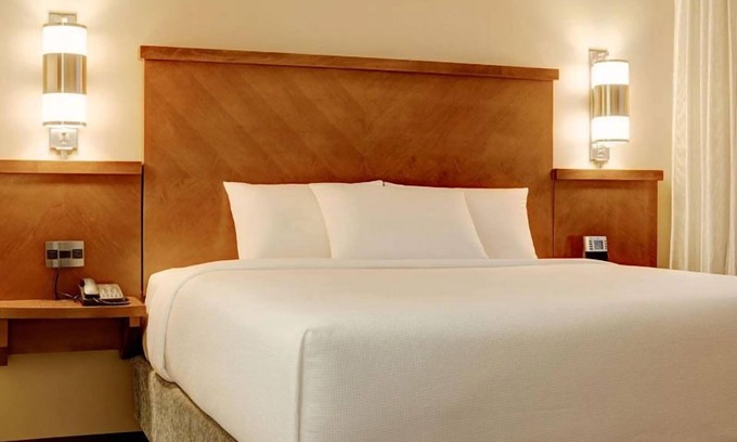 Austin Hotel | Zilker Metropolitan Park Tour! Pets Allowed, Swimming Pool, FREE Parking!