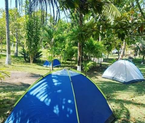 Castelo da Torre Other | Zion camping