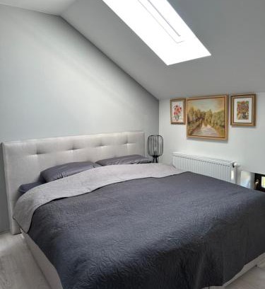 Oelsnitz Apartment | Zwillinge Ferienwohnung am Markt