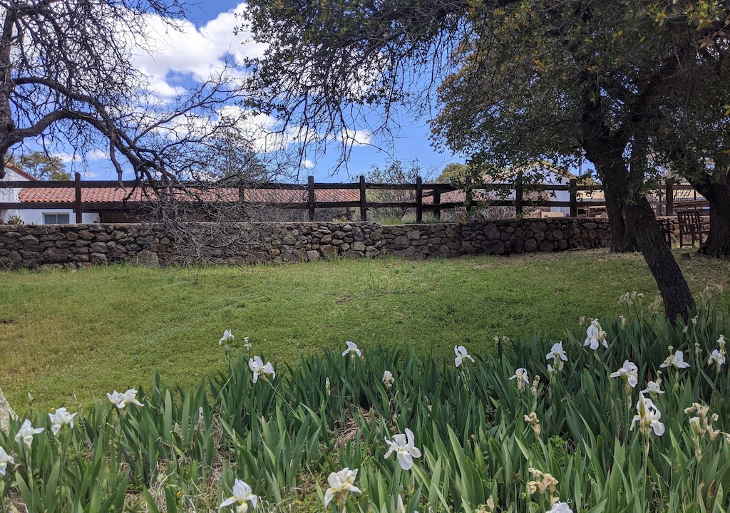 El Rancho Robles Oracle | Oracle