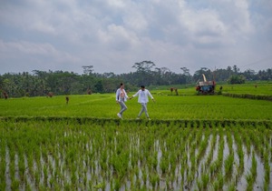 Puri Wulandari - A Boutique Resort & Spa