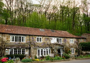 The Bark House