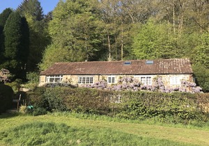 The Bark House