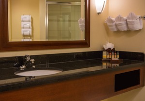 Baltimore Marriott Inner Harbor at Camden Yards