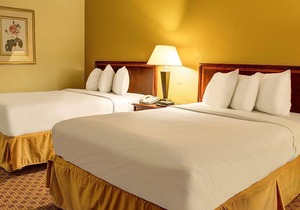 Quality Inn North