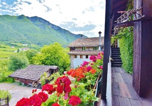 Villa Bertagnolli - Locanda Del Bel Sorriso