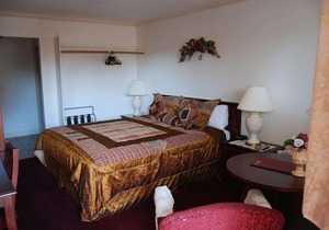 Stanford Motor Inn