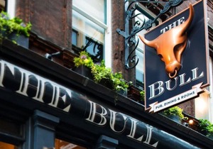 The Bull and The Hide