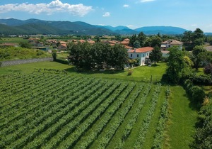 Villa Franca in Franciacorta