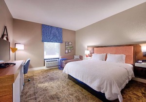 Hampton Inn Baton Rouge - Denham Springs