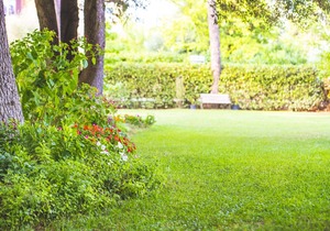 B&B Il Girasole