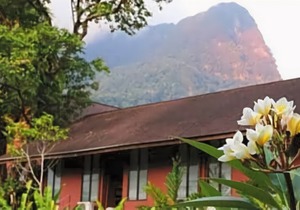 The Village House