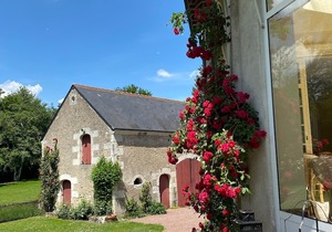Le Moulin de Francueil