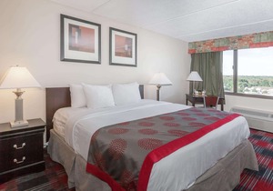 Ramada Plaza by Wyndham Albany