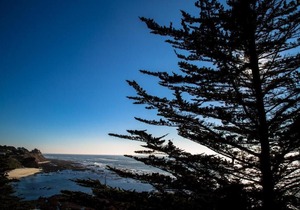 Seal Cove Inn