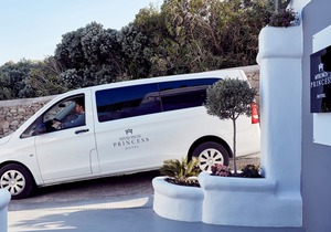 Mykonos Princess Hotel