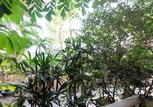 Elegant Studio Mustika Golf Residence Apartment