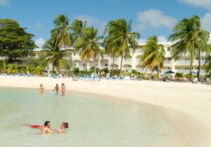 Bougainvillea Barbados