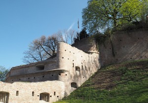 Hotel Fischertor