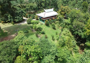 Green Forest Tangkahan