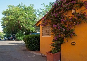 Orto di Roma