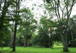 Baan Maka Nature Lodge