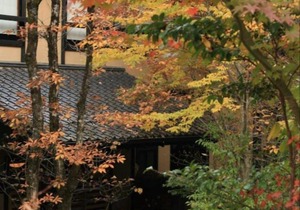 Ryokan Wakaba