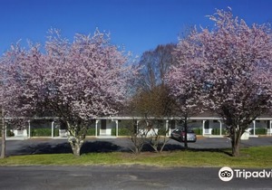 Moore Park Inn