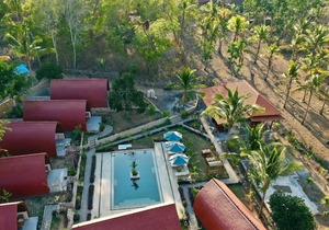Jungle Paradise