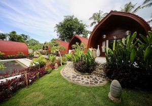 Jungle Paradise
