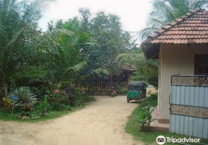 Green Garden Cabanas