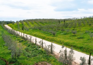 Il Podere di Marfisa