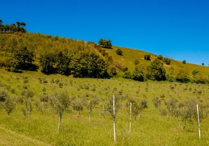 La Quercia - BolognaRooms