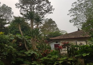 Mulia Garden Bungalows
