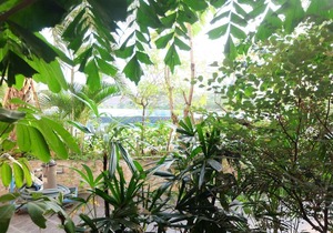 Elegant Studio Mustika Golf Residence Apartment