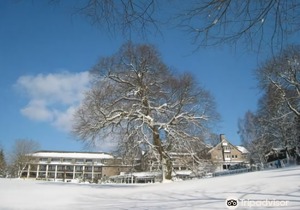 Hotel Jagdhaus Wiese