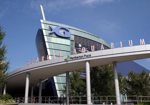 Fairfield Inn & Suites by Marriott Atlanta Vinings/Galleria