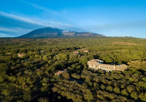Bosco Ciancio