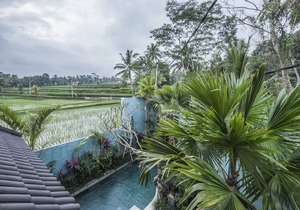 Villa Tanah Carik