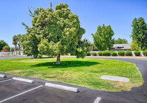 Motel 6-Fresno, CA - Blackstone North