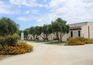 Lilybeo Village
