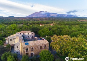 Bosco Ciancio