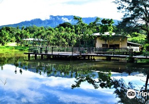 Buena Vista del Rincon Eco Adventure Park, Hotel & Spa