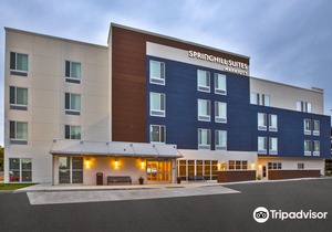 SpringHill Suites by Marriott Pittsburgh Butler/Centre City